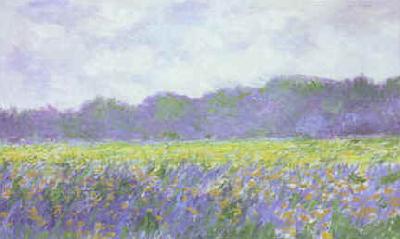 Claude Monet Field of Yellow Iris at Giverny oil painting image
